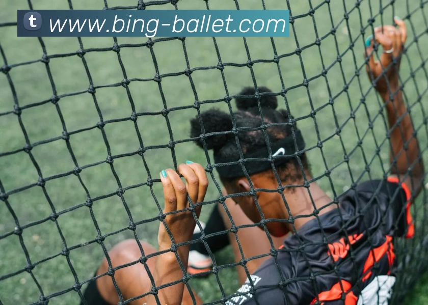 贝博体育平台生态图